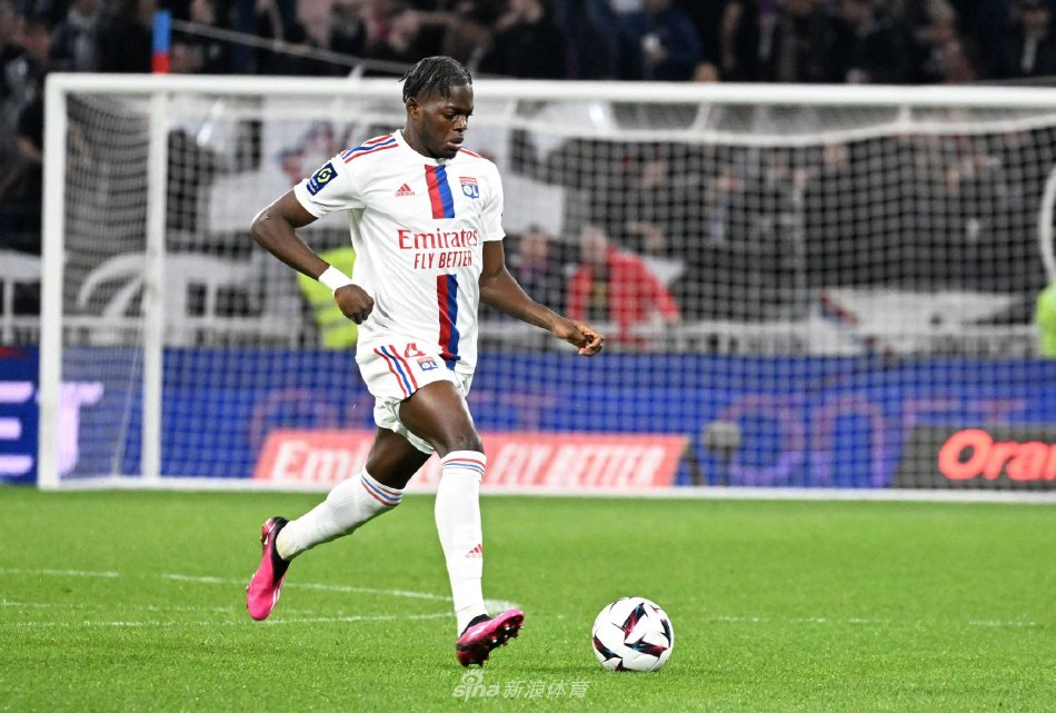 帕尔默与贝 帕尔默与贝